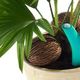 Illustration for article titled These Systems Let You Monitor Your Garden Without Setting Foot Outside